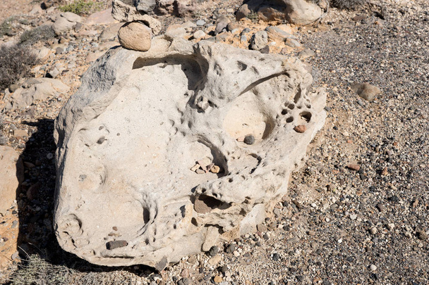 Closeup of a big stone with holes - Photo, Image
