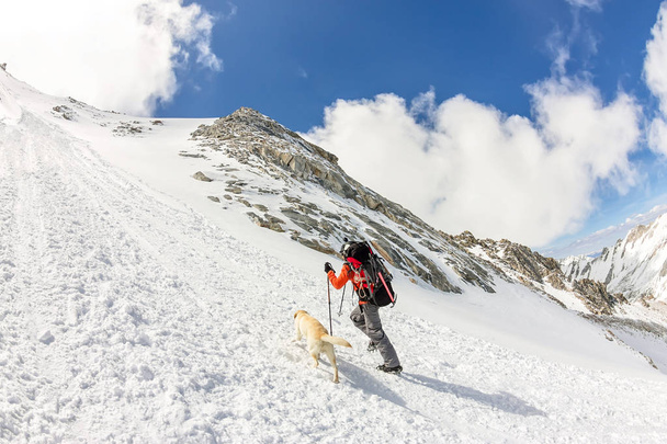 Man and dog labrador hike the cloudy mountains - Foto, afbeelding