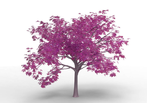 Внутреннее 3D дерево изолировано на белом фоне
 - Фото, изображение