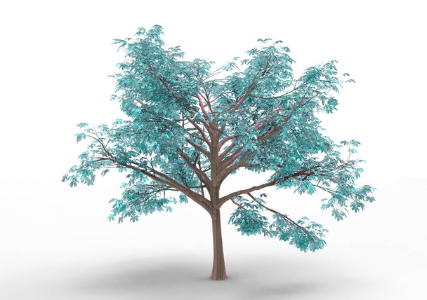 Εσωτερικό 3d δέντρο απομονωθεί σε λευκό φόντο - Φωτογραφία, εικόνα