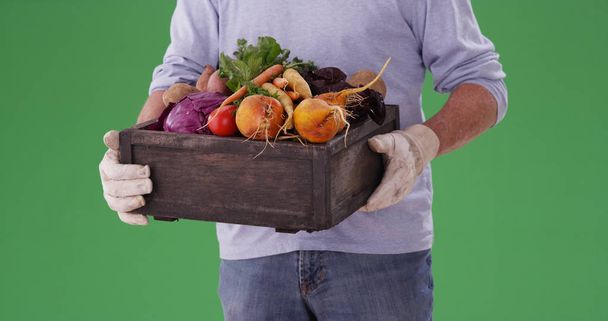 Detailní záběr na mužské farmář nést bednu zeleniny na greenscreen - Fotografie, Obrázek