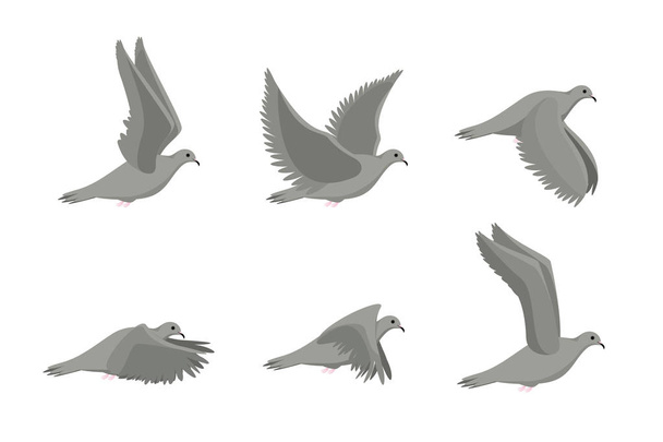 Cartoon Grey Flying Dove Bird Sideways Set. Vector - Vecteur, image