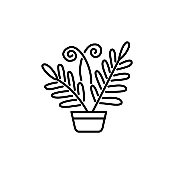 Black & white vector illustration of fern with leaves in pot. Decorative home plant in container. Line icon of indoor plant for conservatory & terrarium. Isolated object on white background. - Vector, Image