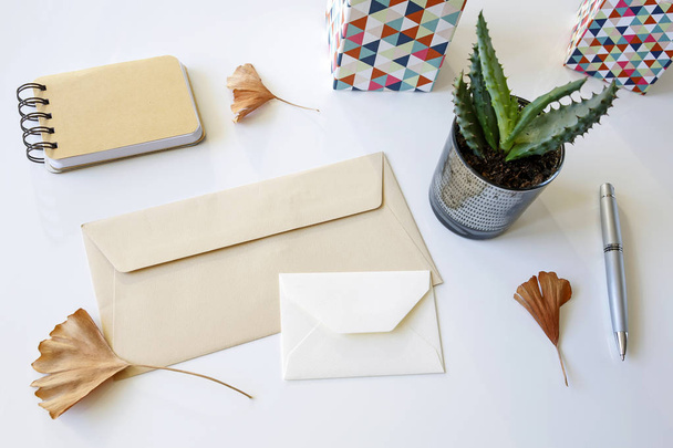 enveloppes vierges avec cahier, stylo, cactus et feuilles de ginkgo sur table blanche
 - Photo, image