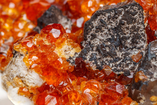 makro mineral taş Spessartine, turuncu, kırmızı Lal üzerinde beyaz arka plan yakın çekim kuvars ile - Fotoğraf, Görsel