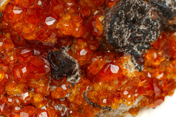 macro pierre minérale Spessartine, orange, grenat rouge avec quartz sur fond blanc gros plan
 - Photo, image