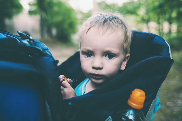 A child is sitting in a backpack. Portrait of a boy. The kid is traveling with his parents. Climbing with a child. Interesting childhood. Father carrying an infant. Traveling with children. - Fotoğraf, Görsel