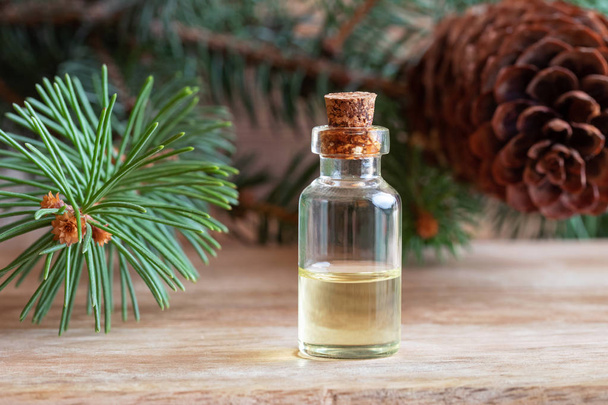 A bottle of essential oil with spruce branches and cones - Foto, imagen