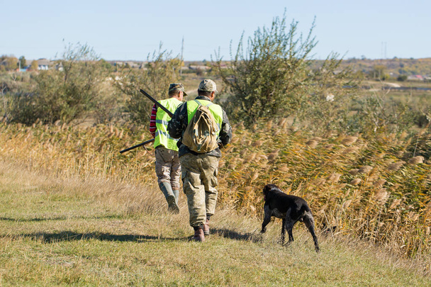 Metsästäjät, joilla on saksalainen drathaar ja spanieli, kyyhkysenmetsästys koirien kanssa heijastavissa liiveissä - Valokuva, kuva