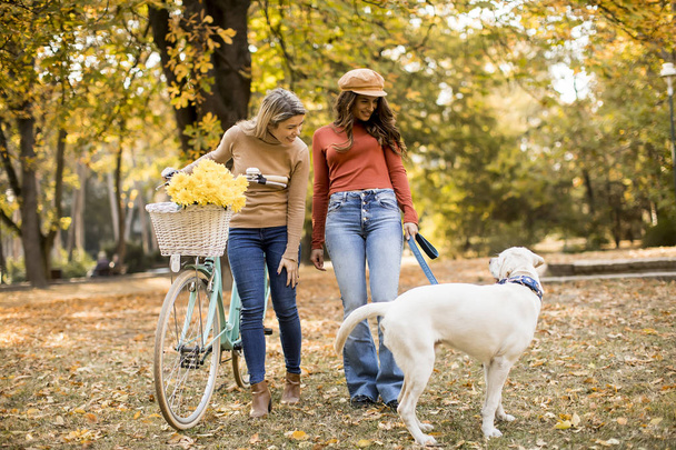 Dos amigas paseando en el parque amarillo de otoño con perro y bicicleta
 - Foto, imagen