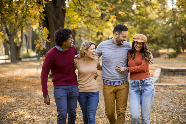 Multiracial young people walking in the autumn park and having fun - Фото, изображение