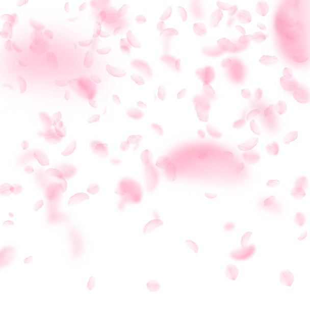 Sakura petals falling down. Romantic pink flowers  - Vector, Image