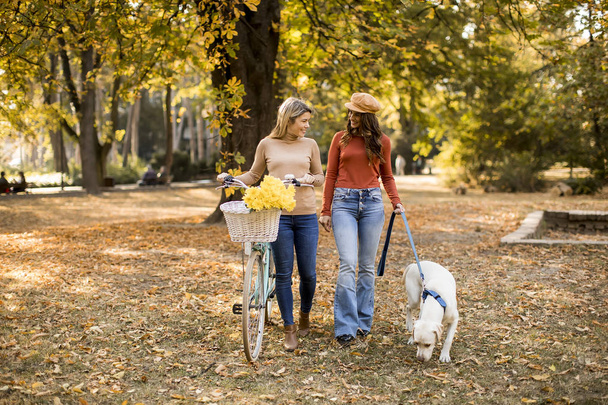 Dwie koleżanki spaceru w parku jesień żółty pies i rower - Zdjęcie, obraz