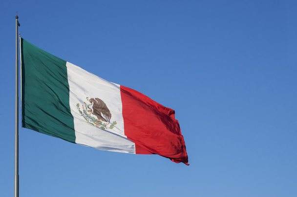 México's flag - 写真・画像
