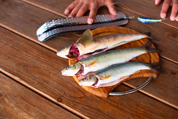 La captura de peces marinos frescos se encuentra en una tabla de cortar en una mesa de madera
 - Foto, Imagen