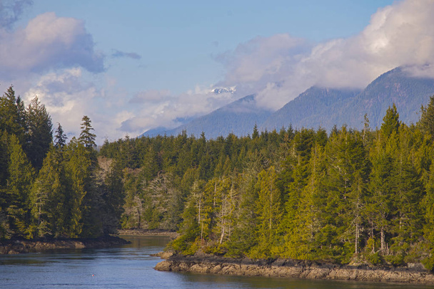 View of the shoreline of Meares Island and hill tops in Tofino, Vancouver Island, Canada - Fotoğraf, Görsel