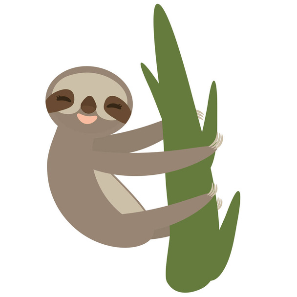 Three-toed sloth on green branch on white background. Vector illustration - Wektor, obraz