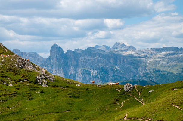 Mountain Scene in the Italian Dolomites - Fotoğraf, Görsel