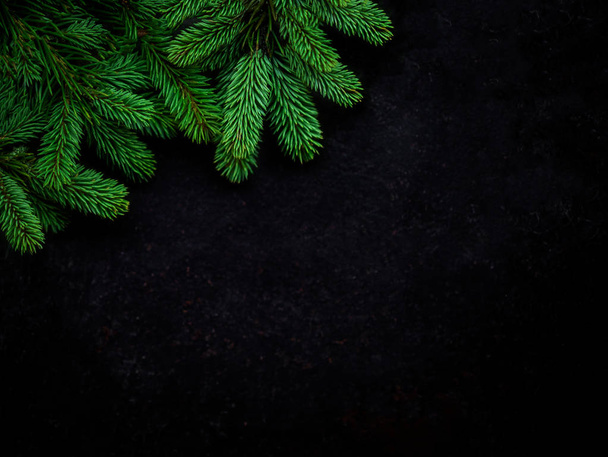 Christmas Tree Pine Branches on  black background. View from above. Copyspace - Foto, imagen