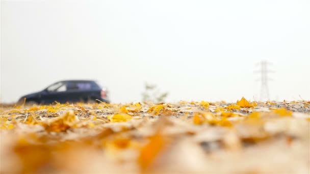 Samochody podróży wzdłuż drogi jesień. Zwolnionym tempie - Materiał filmowy, wideo