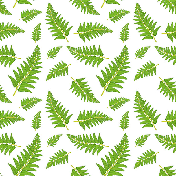 Fern leaf seamless pattern illustration - Vector, Image