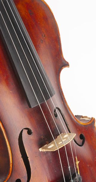 Violin close up isolated on white background Limited depth of field - Foto, immagini