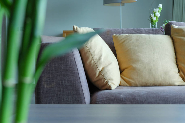 Dettaglio divano in soggiorno
 - Foto, immagini