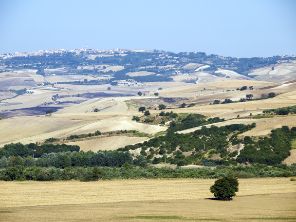 een panoramisch uitzicht op het land in Apulië, Italië - Foto, afbeelding