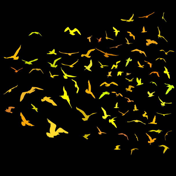 Seagulls gold silhouette on black background. Vector illustration - Διάνυσμα, εικόνα