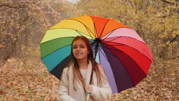 Dziewczyna idzie z parasolką w lesie jesienią - Materiał filmowy, wideo