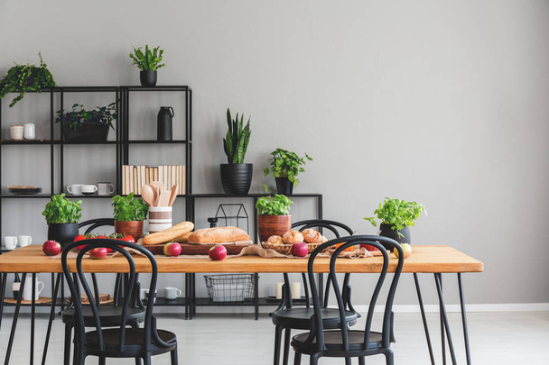 schwarze Stühle am Holztisch mit Äpfeln und Basilikum im grauen Speisesaal-Interieur mit Pflanzen. echtes Foto - Foto, Bild