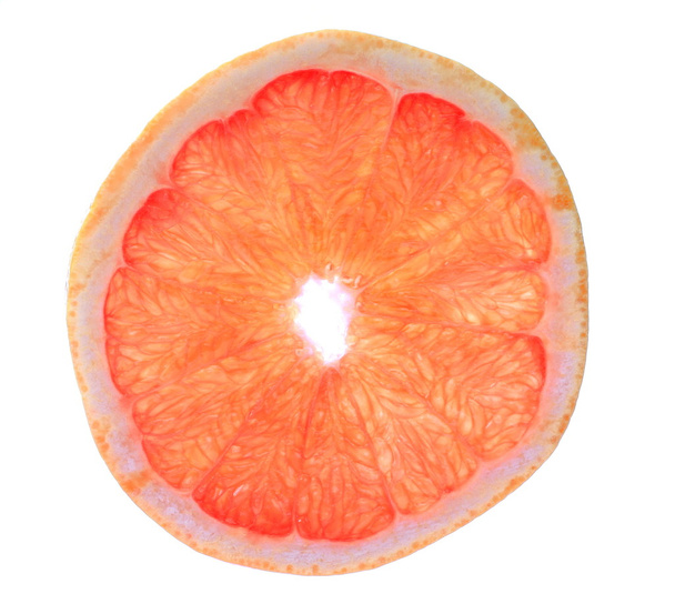 Grapefruitscheibe - Foto, Bild