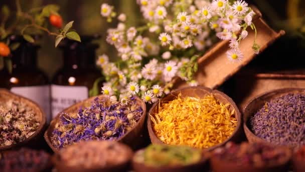 Разнообразие ароматических специй и трав на кухонном столе - Кадры, видео