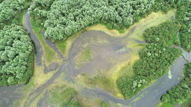 Veduta aerea del paesaggio fluviale naturale
  - Foto, immagini
