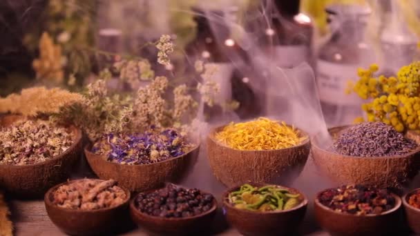 Разнообразие ароматических специй и трав на кухонном столе - Кадры, видео