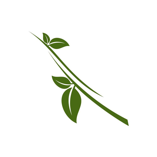 Yaprak yeşil büyüme Logo şablonu - Vektör, Görsel