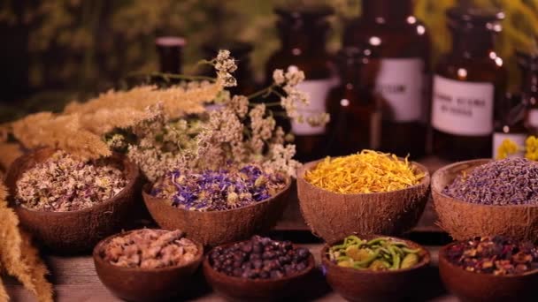 Різноманітність ароматних спецій і трав на кухонному столі
 - Кадри, відео