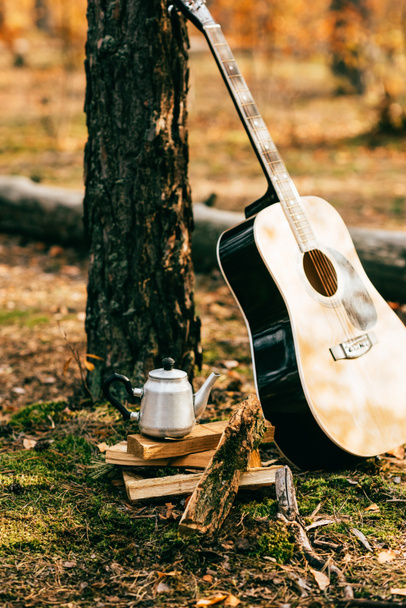 Metallkessel auf einem Haufen Brennholz und Akustikgitarre auf herbstlichem Hintergrund - Foto, Bild