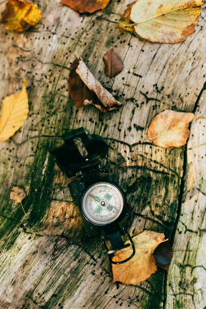 bovenaanzicht van kompas op leeftijd rustieke boomschors met loof - Foto, afbeelding