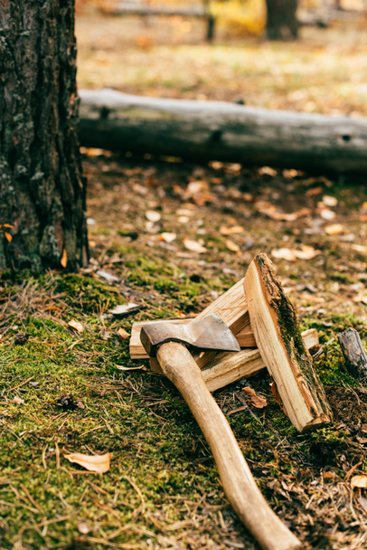 秋の森で斧を地面にみじん切りの薪の山  - 写真・画像