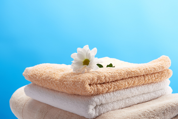 close-up view of beautiful white chamomile flower on pile of clean towels isolated on blue - Foto, afbeelding