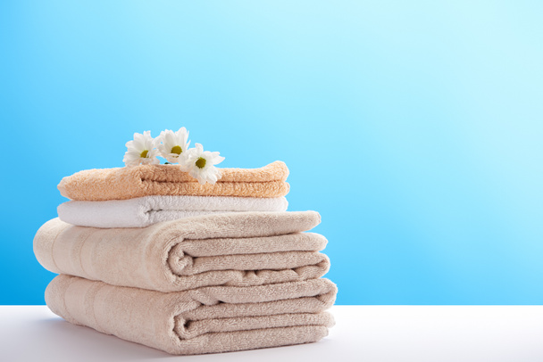 vue rapprochée de belles camomilles sur pile de serviettes propres et douces sur bleu
  - Photo, image