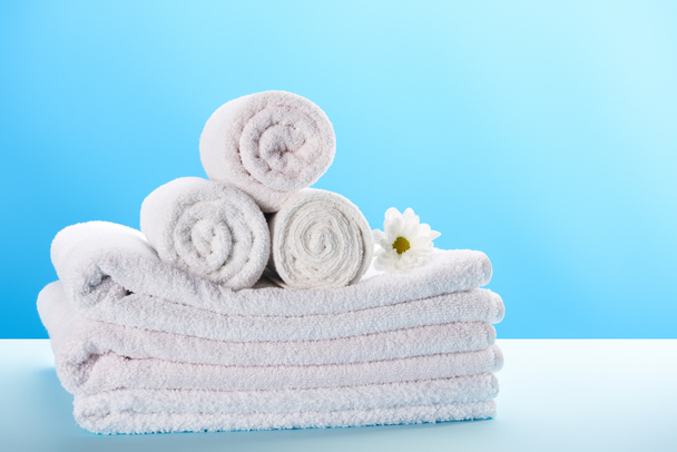 rolled and stacked towels with beautiful white chamomile flower on blue  - 写真・画像