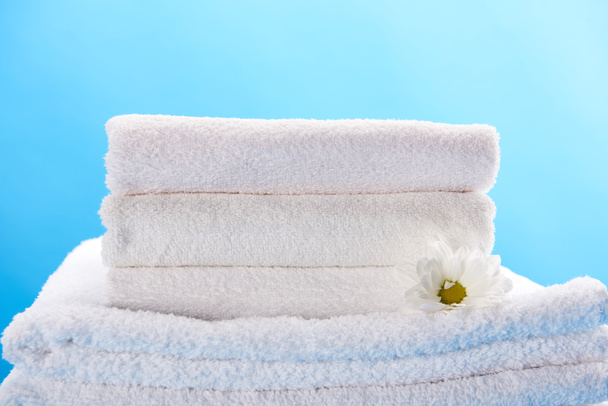 pile of clean soft white towels and beautiful chamomile flower isolated on blue - Fotografie, Obrázek