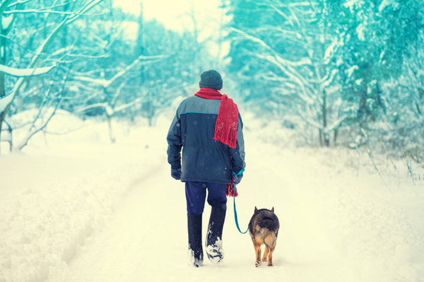 The man with the dog on a leash walking on the snowy country road in winter. The man wearing traditional Russian  north winter shoe valenki - 写真・画像