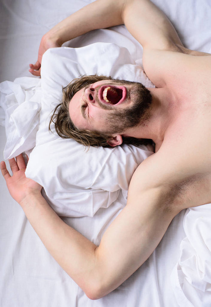 Let your body feel comfortable. Man unshaven handsome guy naked torso sleep nap on bed. Guy sexy macho lay white bedclothes. Man sleepy unshaven bearded face sleep has rest. Pleasant dream concept - 写真・画像