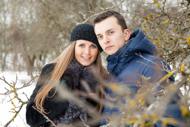 Happy Young Couple in Winter garden - Fotografie, Obrázek