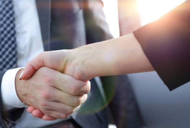 Businessman shaking hands to seal a deal with his partner - Photo, Image