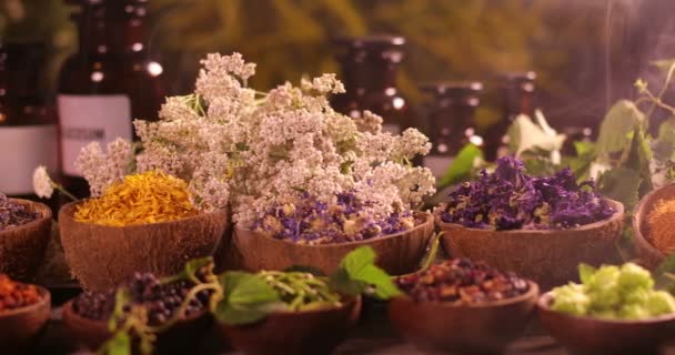Különböző aromás fűszerek és fűszernövények a konyhaasztalon - Felvétel, videó