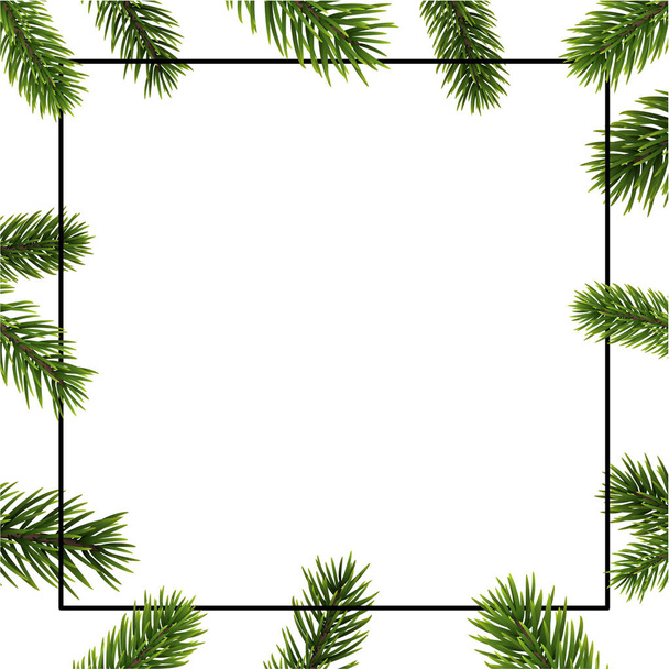 White card with square frame and fir branches - Vettoriali, immagini